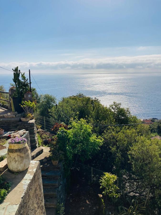 Maison Mediterraneo - Rez De Villa, Vue Imprenable Sur La Mer Pietranera エクステリア 写真